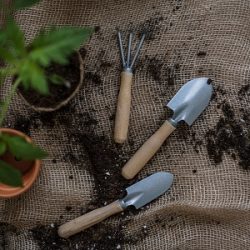 Pinterest-Saison-April-planen-Garten Pinterest-Saison-April-planen-Garten
